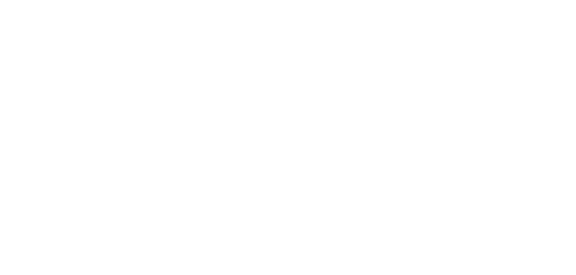 Dingir Technology